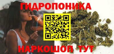 индика Будённовск
