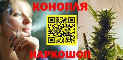 индика Будённовск
